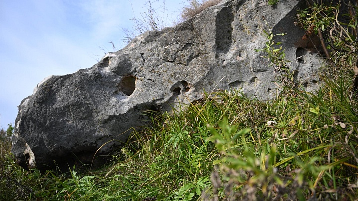 На Куликовом поле нашли свидетеля юрского периода