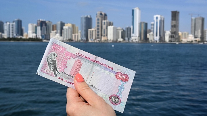 Россиянам объяснили, для кого предназначен “новый доллар”