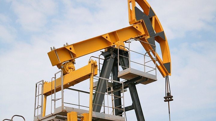 Россия с начала года открыла более 200 месторождений ТПИ