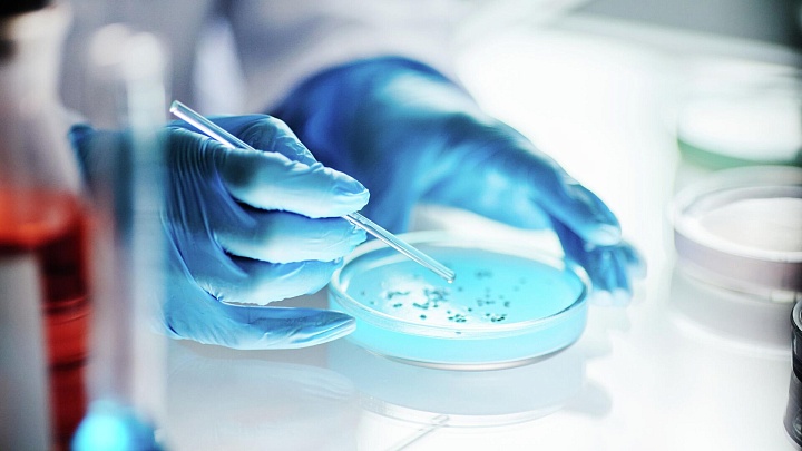 Ученые повысили мощность батареек из бактерий